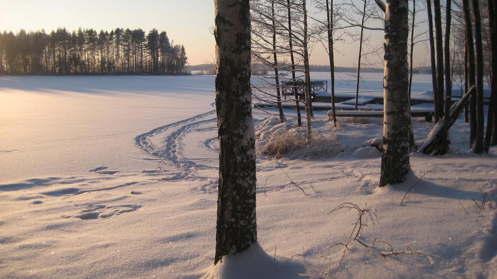 Nestorinranta Resort Lintusalo Exteriör bild