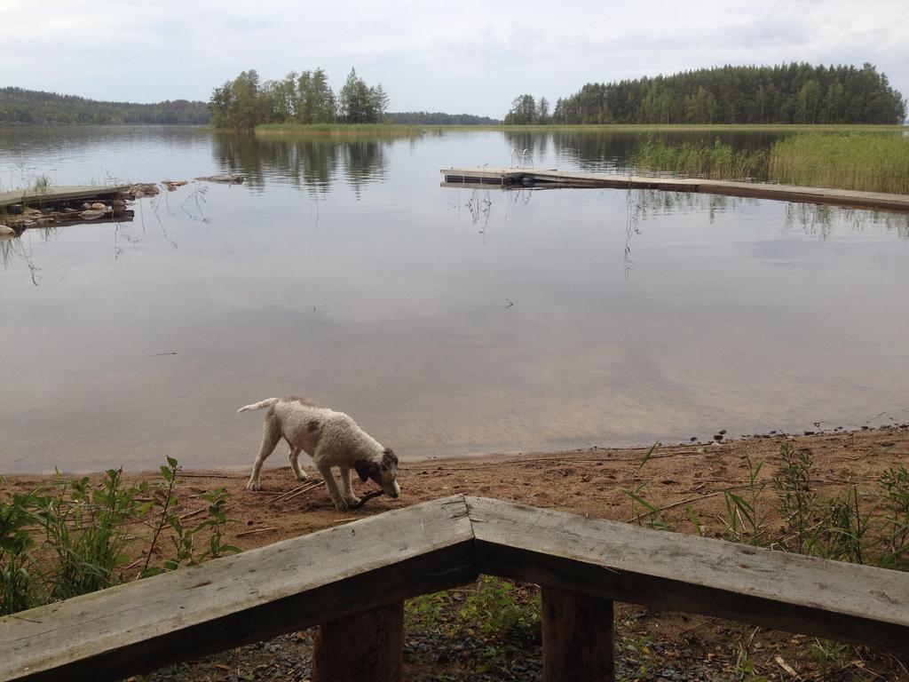 Nestorinranta Resort Lintusalo Exteriör bild