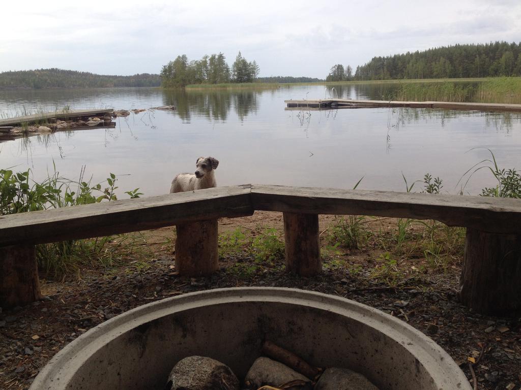 Nestorinranta Resort Lintusalo Exteriör bild